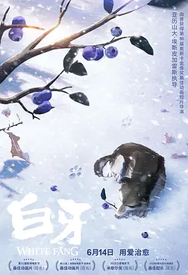 成年人视频在线免费观看